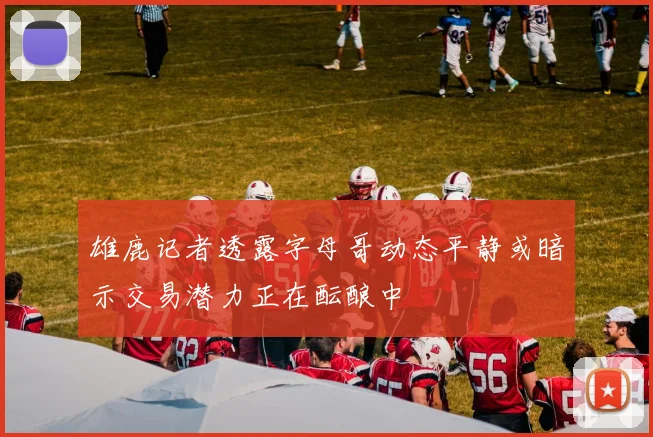 雄鹿记者透露字母哥动态平静或暗示交易潜力正在酝酿中